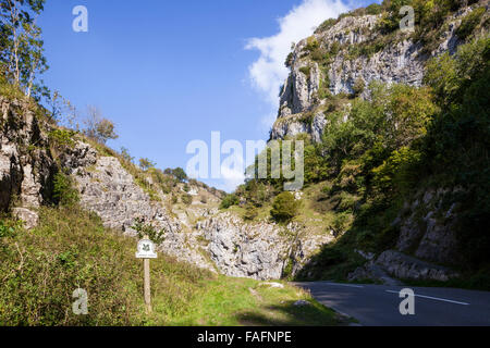 Cheddar Gorge - a limestone gorge in the Mendip Hills, Cheddar, Somerset UK Stock Photo