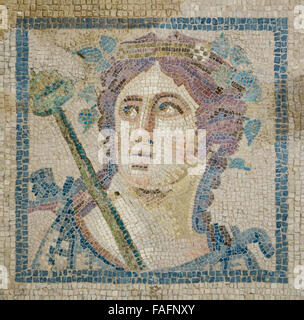 Turkey travel - the city of Ephesus, ancient Efes. Excavated exhibit of a group of Roman villas. Mosaic tile art. Stock Photo