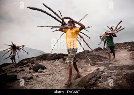 Local NiVans collecting firewood for a magma-started fire on Mt Yasur, an active volcano on Vanuatu's southern Tanna Island. Stock Photo