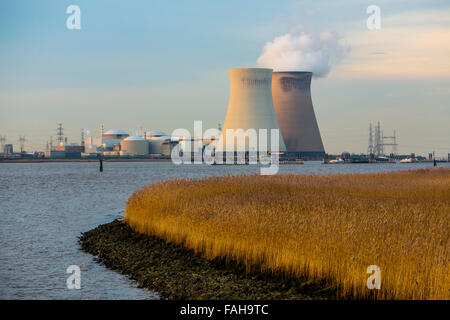 The Belgian Doel Nuclear Power Station, near Antwerp, on the Scheldt, nuclear power plant with 4 power plant units Stock Photo