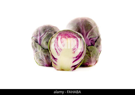 Purple brussels sprouts on a white background Stock Photo