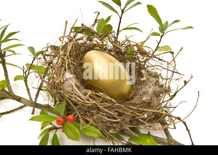 Gold Egg In Bird’s Nest Stock Photo