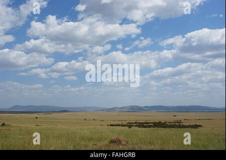 Clouds over the Masai Mara. Masai Mara Reserve, Northern Serengeti Plains, Kenya, East Africa Stock Photo