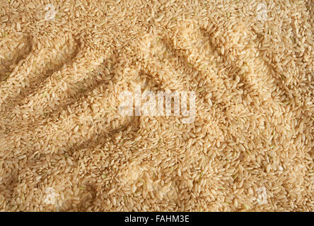 Integral uncooked brown rice with handprints Stock Photo