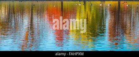 Colorful Autumn Tree Lined Water Reflections. Julia Davis Park Pond ...