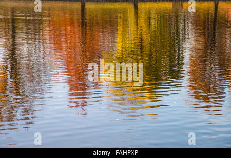 Autumn tree reflections, Julia Davis Park Pond, Boise river greenbelt, Boise, Idaho, USA Stock Photo
