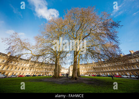 Wideangle view of The Circus designed by Georgian architect John Wood with its ancient London Plane trees in Bath UK Stock Photo