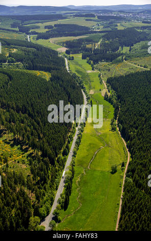 Aerial view, cow paddocks in the upper reaches of the Ruhr, Ruhr valley with pastures, Winterberg, Sauerland, Stock Photo