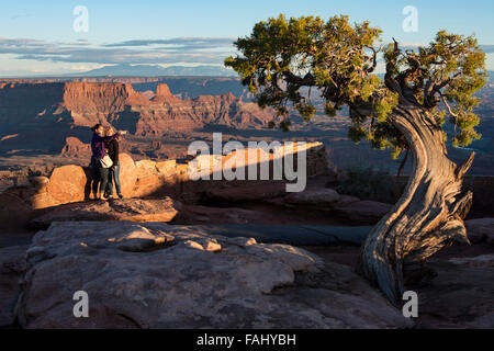 Juniper tree and view from Dead Horse Point, Dead Horse State Park, Moab, Utah. Stock Photo