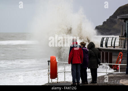 Aberystwyth, Wales, UK. 31st Dec, 2015. People look on as the huge waves continue to hit the West Wales coastline in Aberystwyth. Credit:  Trebuchet Photography/Alamy Live News Stock Photo