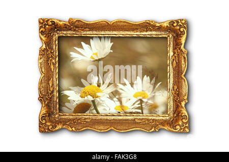 beautiful daisies in old painting frame over white background; the image with daisies inside the frame is also one of my picture Stock Photo