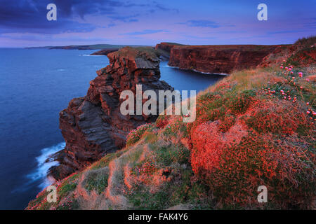 cliffs near Kilkee at sunset, Ireland Stock Photo