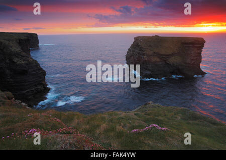 Loop Head cliffs near Kilkee at sunset, County Clare, Ireland Stock Photo