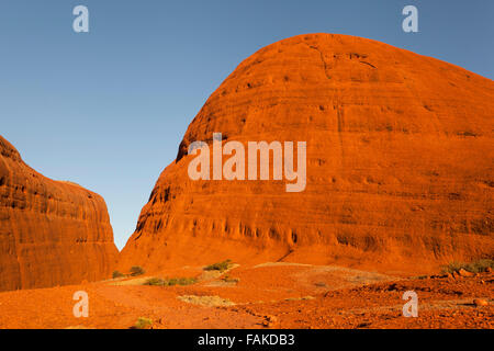 Kata Tjuta, (The Olgas at sunset), Uluru - Kata Tjuta National Park, Northern Territory, Australia. Stock Photo