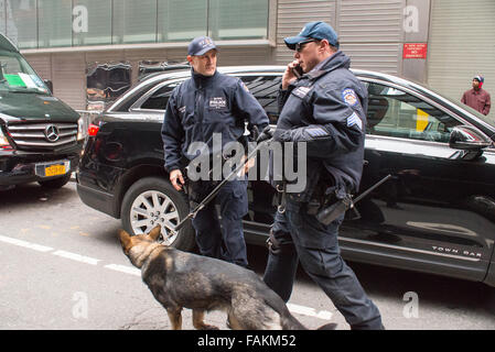 New York, United States. 31st Dec, 2015. NYPD canine officers patrol one of the side streets leading to Times Square. With a heightened degree of security due to the threat of a terrorist strike like those in Paris and San Bernadino, preparations for New York City's annual Times Square New Year's Eve celebration reflect the city's resolve to maintain public safety at such mass public gatherings. Credit:  Albin Lohr-Jones/Pacific Press/Alamy Live News Stock Photo