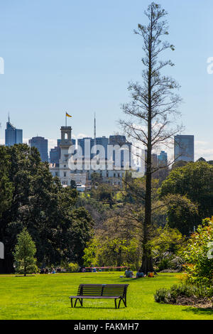 Melbourne botanic gardens. Stock Photo