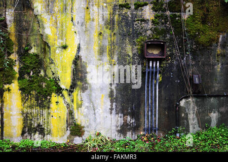 Rusty electrical box on moss and algae covered concrete bunker wall, Artillery Hill, Fort Worden State Park, Port Townsend, Was Stock Photo