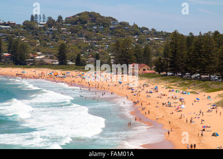 Sydney, Australia. 01st Jan, 2016. Newport Beach, one of Sydney's famous northern beaches packed with locals and holidaymakers on New Years Day. Credit:  model10/Alamy Live News Stock Photo