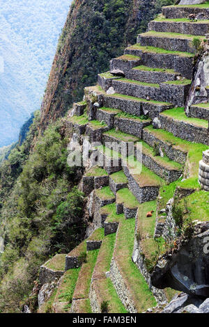 terraces on the mountain of Machu Picchu Stock Photo