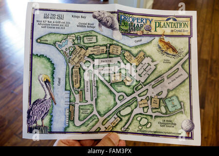 Florida, FL, South, Crystal River, Plantation on Crystal River Stock