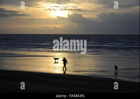 A person walks their dogs on the beach at sunrise on New Years Day in Littlehampton, West Sussex, England. Stock Photo