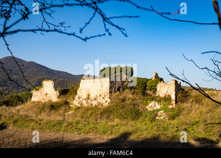 Sun shines on ruins of an old farm house framed by the branches of a trees with mountains in the background. Stock Photo