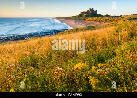 Bamburgh Castle at sunrise on the east cost of Northumberland, England. Stock Photo