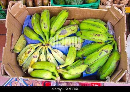 Bunches of green bananas in cardboard boxes on sale in the tropical market Stock Photo