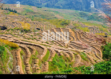 Jinkeng (Dazhai) Red Yao Terraced Fields,Surrounding Area,Rice Terraces ...