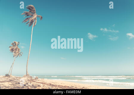 Beautiful beach and caribbean sea in Dominican Republic Stock Photo