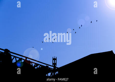 Birds fly together in blue sky forward to the sunlight. There is a silhouetted building below. Stock Photo