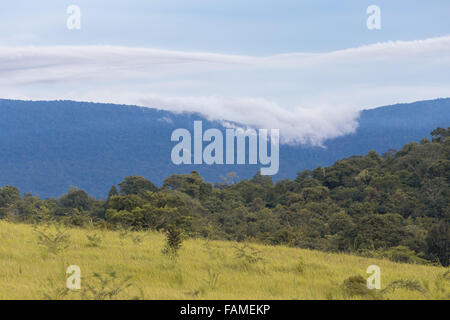 Green hill under blue cloudy sky whit sun Stock Photo - Alamy