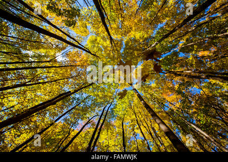 Spectacular, colorful autumn landscape in  Parc Regional de la Riviere-du-Nord, Canada, Quebec Stock Photo