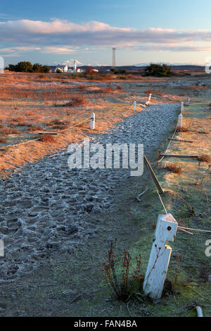 Sandy path to beach at sunrise with Point Wilson Lighthouse and Mount Baker in distance, Fort Worden State Park, Port Townsend, Stock Photo