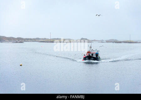 Burtonport, County Donegal, Ireland. 2nd January 2016. A shellfishing boat returns to harbour. Irish seafood industry to hopes to achieve €1bn sales by 2020 as a new €241m development programme for the seafood sector for the period up to 2020 will be rolled out from the beginning of this year. Credit:  Richard Wayman/Alamy Live News Stock Photo