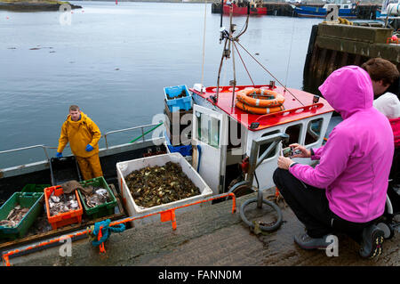 Burtonport, County Donegal, Ireland. 2nd January 2016. A shellfishing boat returns to harbour. Irish seafood industry to hopes to achieve €1bn sales by 2020 as a new €241m development programme for the seafood sector for the period up to 2020 will be rolled out from the beginning of this year. Credit:  Richard Wayman/Alamy Live News Stock Photo