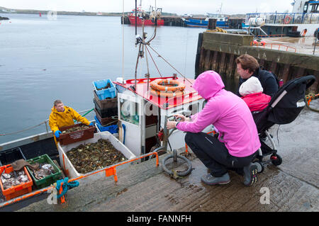 Burtonport, County Donegal, Ireland. 2nd January 2016. A shellfishing boat returns to harbour. Irish seafood industry to hopes to achieve €1bn sales by 2020 as a new €241m development programme for the seafood sector for the period up to 2020 will be rolled out from the beginning of this year. Credit:  Richard Wayman/Alamy Live News Stock Photo