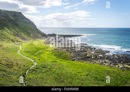 Trail leading to the Giant's Causeway on Ireland's North Coast. Stock Photo