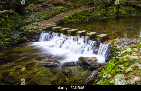 Stepping Stones across a small stream that runs through County Down Tollymore Forest Park, Game of Thrones filmed there Stock Photo