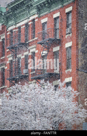 Snow covered tree in front of a Hells Kitchen building with fire escape during a snowstorm. Midtown Manhattan,New York in winter Stock Photo
