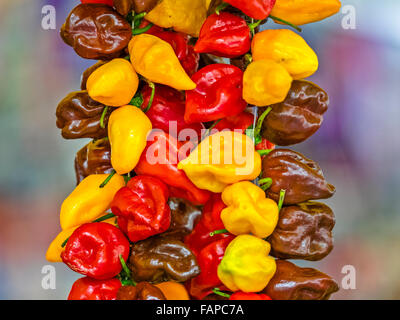 Outdoor market in theCampo dè Fiori in the centro storico area of Rome, Italy Stock Photo