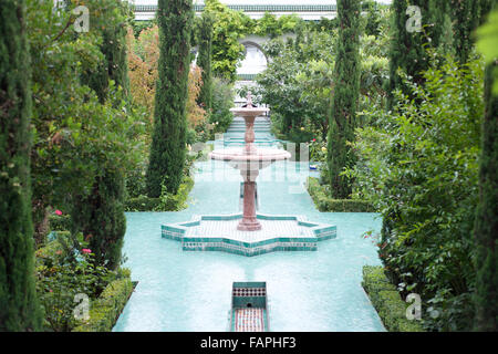 Courtyard of the Grande Mosquée de Paris, France Stock Photo