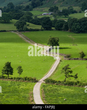 The farm track to Bridgend and Deepdale Bridge in Patterdale Stock Photo