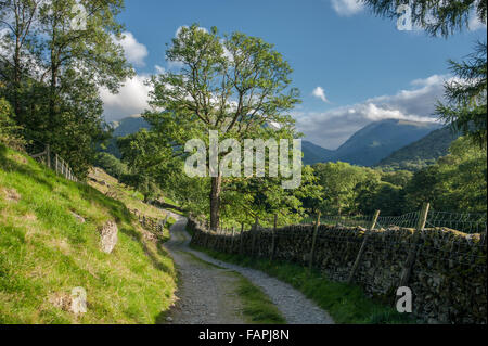 Footpath to Hartsop in Patterdale Stock Photo