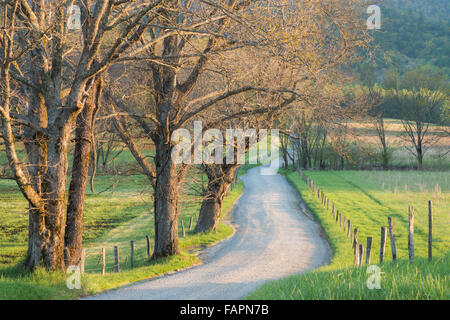 View of Hyatt Lane in Cade's Cove, Spring, Great Smoky Mountains National Park, Tennessee USA Stock Photo