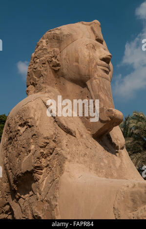 The giant alabaster sphinx outside the Temple of Ptah.in Memphis, which was the ancient capital of Inebu-hedj, the first nome of Lower Egypt. Stock Photo