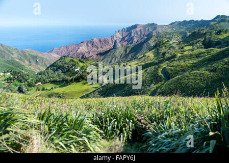 St Helena Island South Atlantic Ocean Lot & Lots wife formations on South side of St Helena with flax growing in the foreground Stock Photo