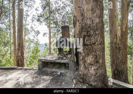Madeira - Eucalyptus woods on the road from Funchal to Curral des Freiras. Public barbecue. Stock Photo