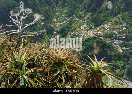 Madeira - Val des Freiras. View from Eira do Serrado mountain path. Stock Photo