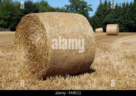 It's a photo of a round straw bale in a field in farm France Stock Photo